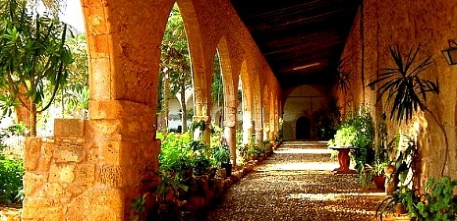 &Pi;ά&sigma;&chi;&alpha; &sigma;&tau;&eta;&nu; &Kappa;&Upsilon;&Pi;&Rho;&Omicron;&Sigma;- &Pi;ά&phi;&omicron;&sigmaf;  - 5 &mu;έ&rho;&epsilon;&sigmaf; &alpha;&pi;ό 589*&euro;